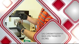 Gas ChromatographyMass Spectrometry [upl. by Atsirc]