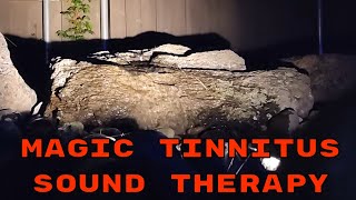 BEST Tinnitus Relief Sound Therapy Treatment  Magic Water Feature Masking [upl. by Chara216]