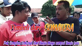 Pembeli dari Sumatera  Pasar Legi Bonyokan  Pedagang Lucu  Klaten Bersinar  Jateng Gayeng [upl. by Fritze]