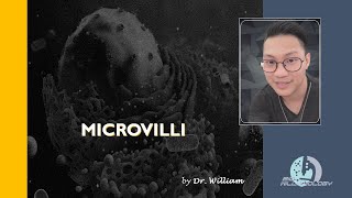 Microvilli by Dr William [upl. by Lasiaf104]