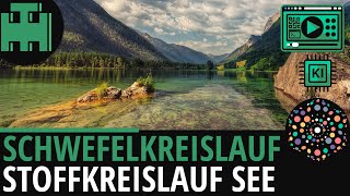 Schwefelkreislauf Stoffkreislauf im See│Biologie LernvideoLearning Level Up KI [upl. by Roma]