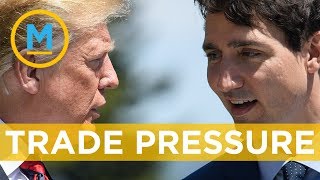 Canadians might feel pressure of USCanada trade tensions soon  Your Morning [upl. by Edurtreg]