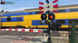 Spoorwegovergang Boxtel 😍4K😍  Dutch railroad crossing [upl. by Camroc]