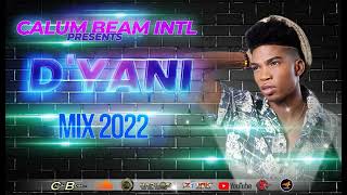 Dyani Mix 2022  Dyani Mixtape 2022  Dyani Dancehall Mix 2022 [upl. by Enailuj]