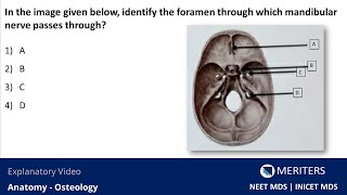 NEET MDS  INICET  Anatomy  Osteology  Explanatory Video  NEET MDS Videos MERITERS [upl. by Aritak]