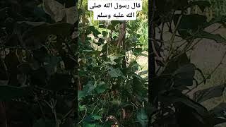 اكسبلور تيكتوك azilal goodmorning ترند ملابس morocco طبخ [upl. by Pickering]