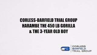 Harambe the Gorilla amp the 3 Year Old Boy [upl. by Elsey923]