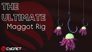 How To Tie A Maggot Rig For Carp  Wafter Maggot Rigs  Winter Carp Fishing [upl. by Cathey]