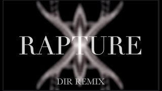 Rapture IIO X DIR Melodic Techno Remix [upl. by Thatcher]