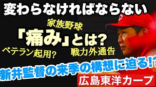 【広島東洋カープ】新井監督の言う「痛み」とは何を指すのか！？ 戦力外？ ベテラン起用？ 家族野球の真意に迫る！？ 【新井貴浩】【田中広輔】【高橋昂也】【朝山東洋】【カープ】 [upl. by Behn842]