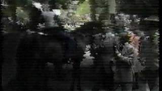 1975  Ruffian vs Foolish Pleasure  The Great Match Race CBS Sports  Part II [upl. by Enna858]