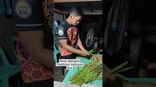 Mangyan Traditional Rice mangyan provincelife farmer buhayprobinsya simplelife offgrid [upl. by Naletak]