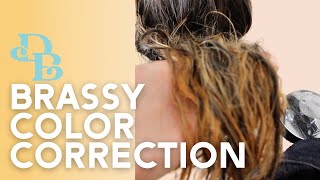 color correction on brassy hair with balayage tutorial QUICK amp EASY [upl. by Hubing261]