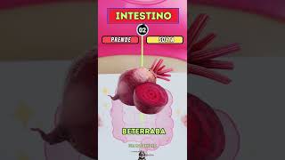 Intestino alimentos que prende ou soltasaúde Alimentos alimento intestino saude [upl. by Leugimesoj]