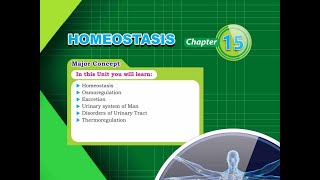 Homeostasis part 5 of 6 [upl. by Coltun22]