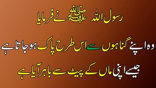 wadhu ke fazeelat  Hadith On Gunah  Hadees e Pak [upl. by Rhonda]