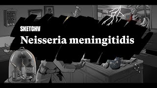 Neisseria Meningitidis Meningitis Causes amp Prevention Part 1  Sketchy Medical  USMLE Step 1 [upl. by Navaj718]