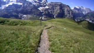 Lauberhorn Abfahrt wmv [upl. by Rolyt]