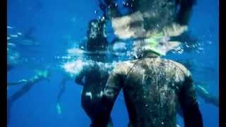 Umberto Pellizzari Apnea Free diving Malta [upl. by Alliuqahs]