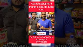 German shepherd  gsd dog  German shepherd dog or puppy German shepherd caring germanshepherd [upl. by Dyche]