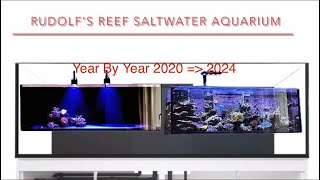 The 4 Year Evolution of Rudolf’s Mixed Reef Tank 20202024 [upl. by Bill]