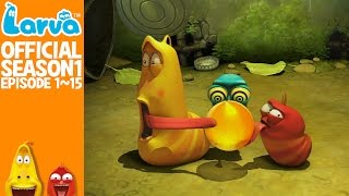 Official LARVA Season 1 Episode 1  15 [upl. by Anotyad]