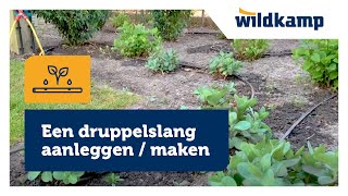 Een druppelslang aanleggen  maken  installeren [upl. by Christa]