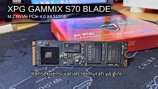 Konsekuensi Varian Terbawah  Review SSD ADATA XPG GAMMIX S70 Blade 512GB [upl. by Miki]