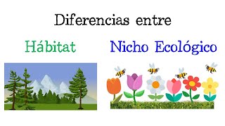 🦁 Diferencias entre Hábitat y Nicho Ecológico 🌳 EJEMPLO Fácil y Rápido  BIOLOGÍA [upl. by Bauer348]