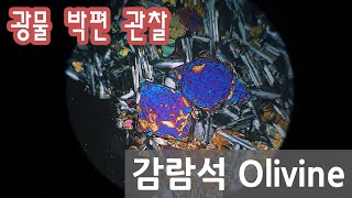 광물 감람석 박편 관찰하기 Olivine in thin section [upl. by Eive]