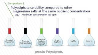 Understanding Polysulphate solubility and release of nutrients [upl. by Irakuy]