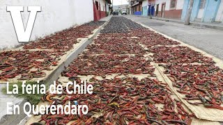 La Feria del Chile en Queréndaro [upl. by Nwhas]