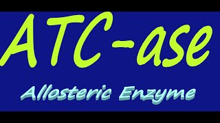 ATCase  Aspartate Trans Carbamoylase  Allosteric Enzyme  By Dorka Beri [upl. by Alban547]