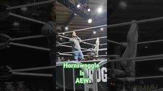 Wrestler Hornswoggle is an AEW kind of guy WWE AEW WWERaw [upl. by Bobbee]