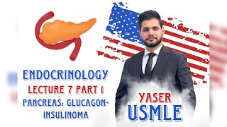 Endocrine Lecture 7a Pancreas  Glucagon USMLE Step1  Dr Yaser [upl. by Kassie]