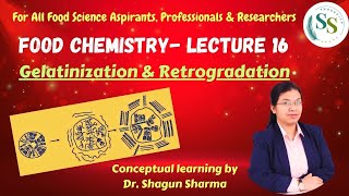 Food Chemistry Lecture 16  Gelatinization amp Retrogradation Foodchemistry [upl. by Leahcimal891]