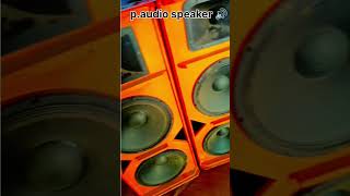 P audio speaker  500w speaker  shorts djspeakers [upl. by Aloeda]