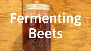 Fermenting Beets [upl. by Nolte]