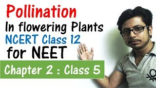 Pollination in flowering plants class 12 NCERT  reproduction in flowering plants for NEET [upl. by Celtic]