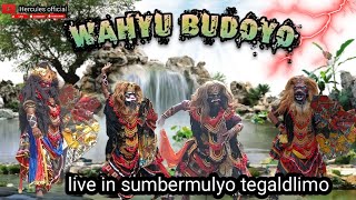 live jaranan wahyu budoyo di sumbermulyo tegaldlimo [upl. by Moitoso169]