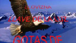 HOOPONOPONO CON LAS ALAS AL VIENTO POR VIVI CERVERA [upl. by Free133]