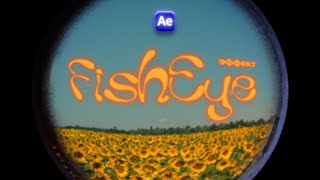 КАК СОЗДАТЬ ЭФФЕКТ FISHEYE В AFTER EFFECTS без плагинов [upl. by Craggy]