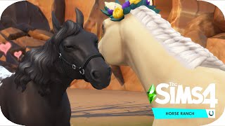 Trying for a foal  The Sims 4 Horse Ranch  5 [upl. by Courtund278]