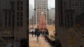 who is ready for christmas in new York newyork christmas [upl. by Emmott]