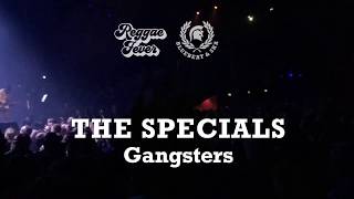 The Specials  Gangsters [upl. by Essex573]