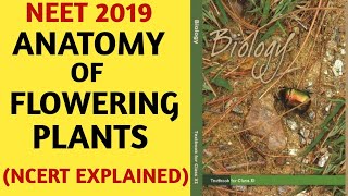 NCERTChapter 6Anatomy of Flowering PlantsClass 11Quick Revision SeriesNEETAIIMSBiology [upl. by Naitsirt]