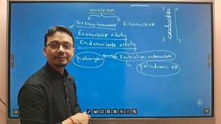 CEE 2081 MEMORY BASED QUESTIONS Part 13 UNIT DEVELOPMENTAL AND APPLIED BOTANY [upl. by Short]