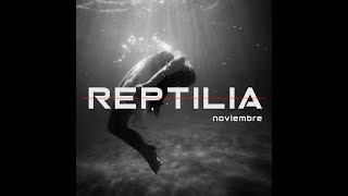 Reptilia Animal [upl. by Calen]