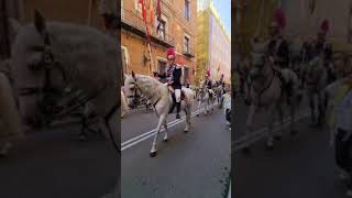 Desfile de caballos en la festividad de la Almudena spaintravel madrid [upl. by Ellinnet]