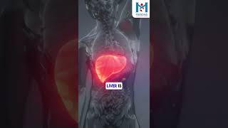 What are Liver Function Tests LFTs [upl. by Evey17]